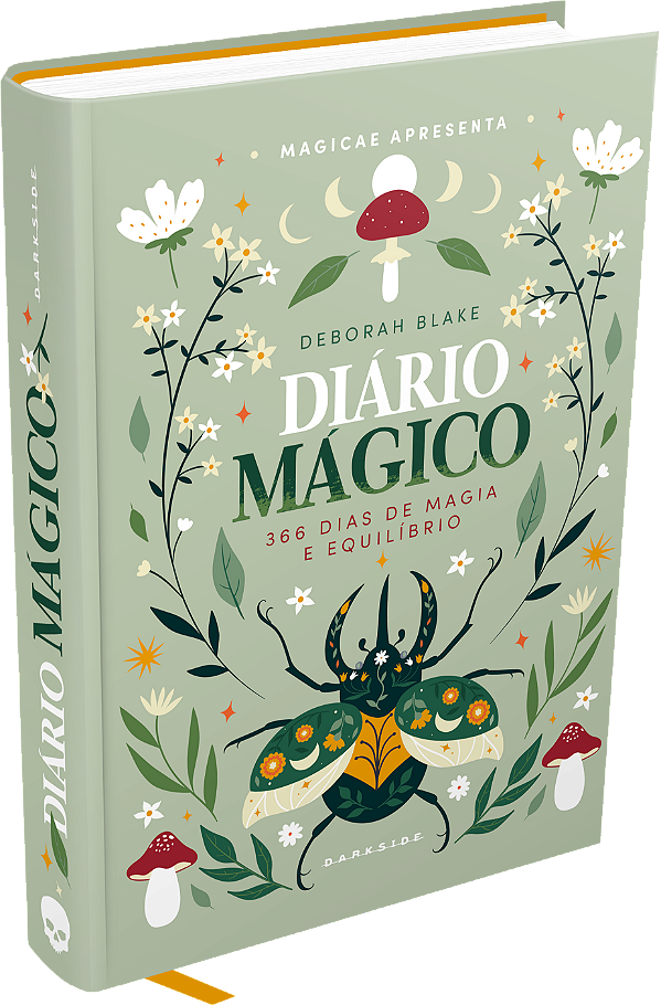 Livro Diário mágico