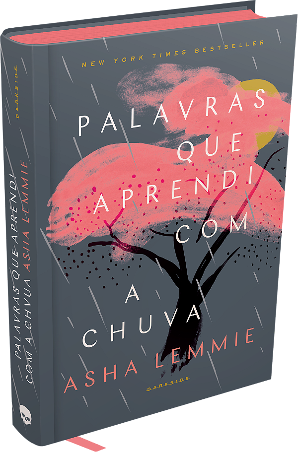 Livro Palavras que aprendi com a chuva