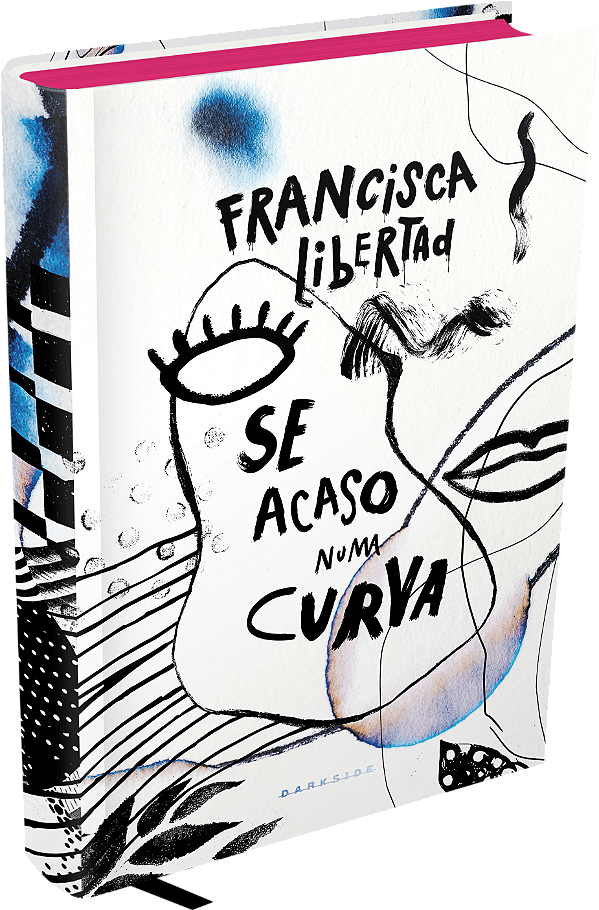 Livro Se acaso numa curva