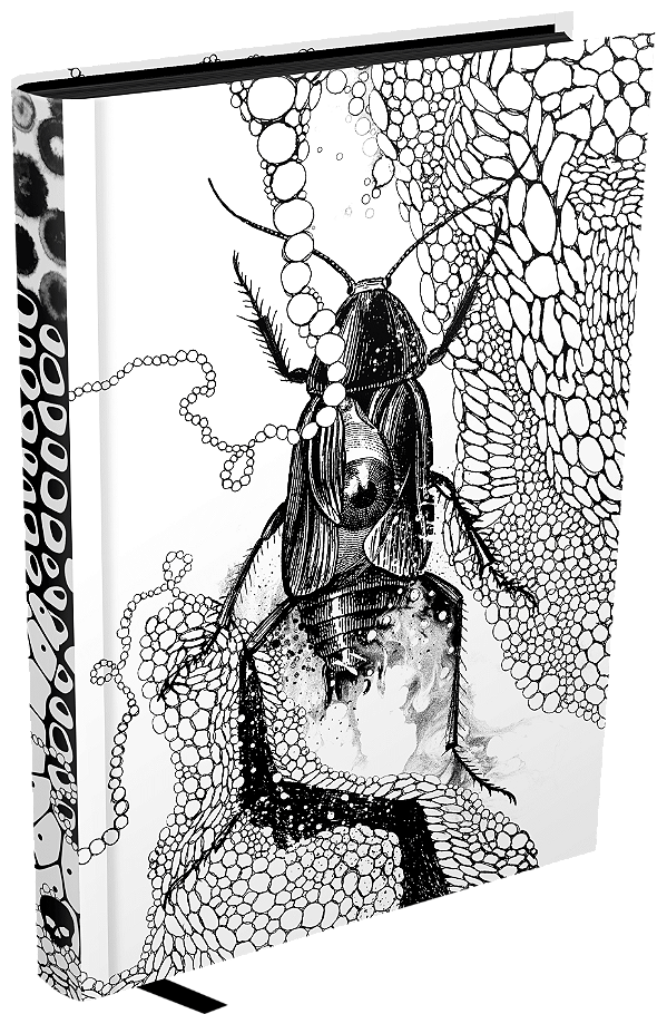Livro A Metamorfose