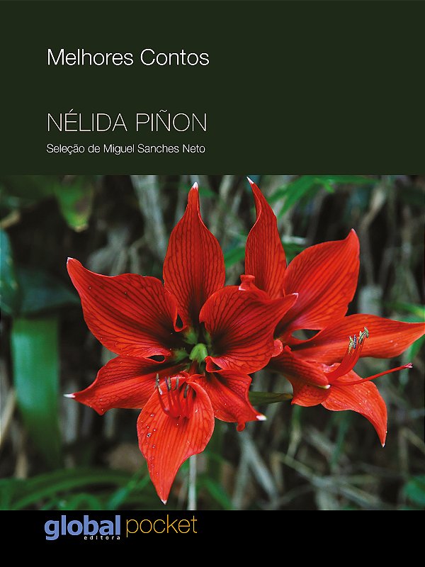 Livro Os melhores contos de Nélida Piñon (Volume 1)