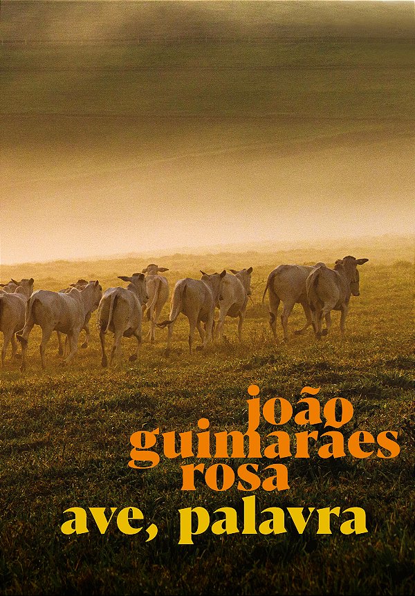 Livro Ave, Palavra