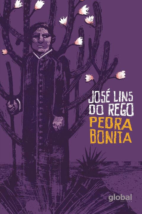 Livro Pedra Bonita