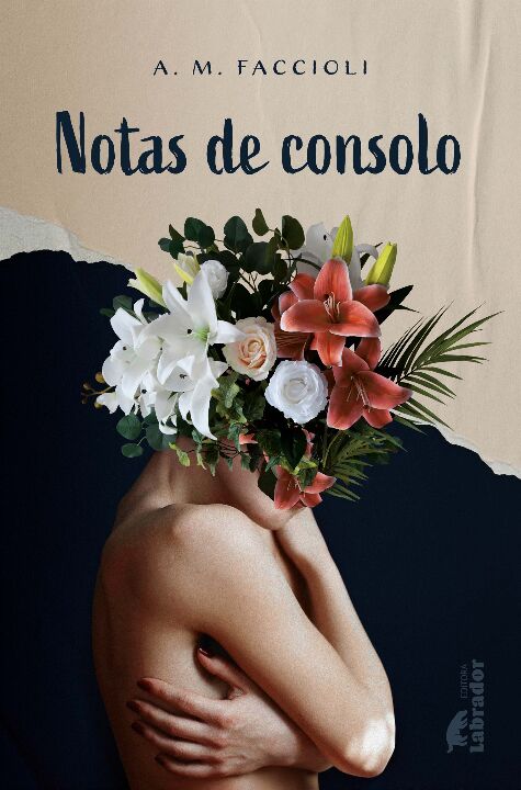Livro Notas de consolo