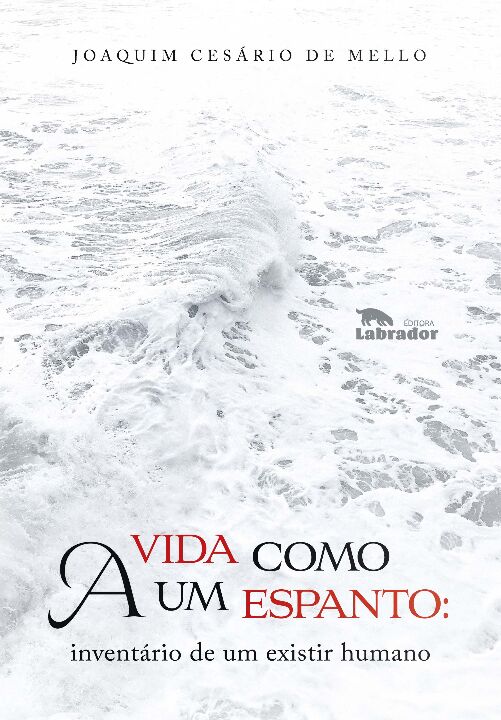 Livro A vida como um espanto: inventário de um existir hu...
