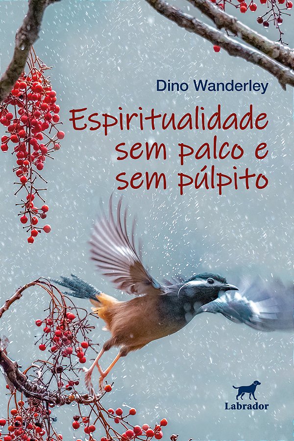 Livro Espiritualidade Sem Palco E Sem Púlpito