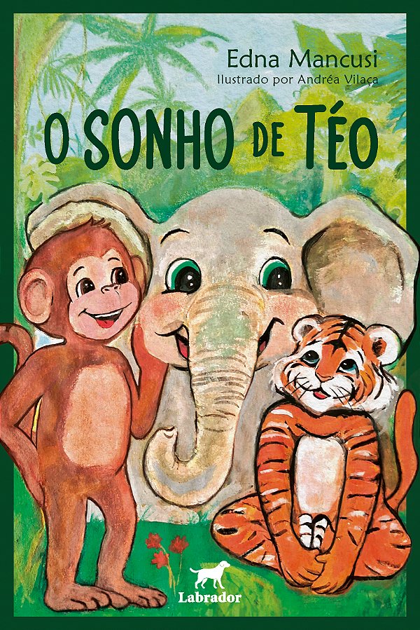 Livro O Sonho De Téo