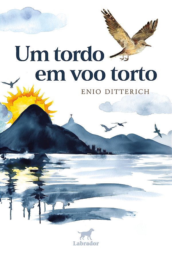 Livro Um Tordo Em Voo Torto