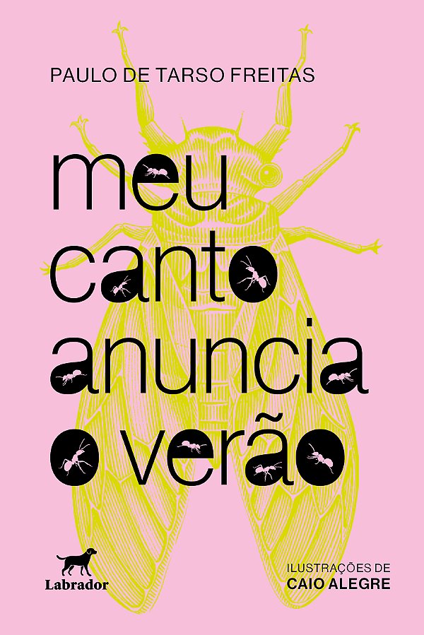 Livro Meu Canto Anuncia O Verão