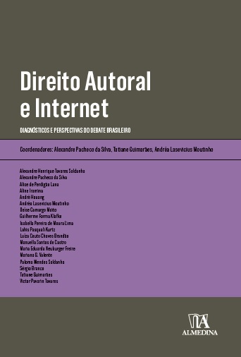 Livro Direito autoral e internet: diagnósticos e perspect...