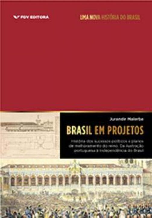 Livro Brasil Em Projetos