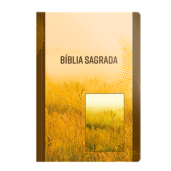 Livro Bíblia Nvi Letra Grande - Neutra
