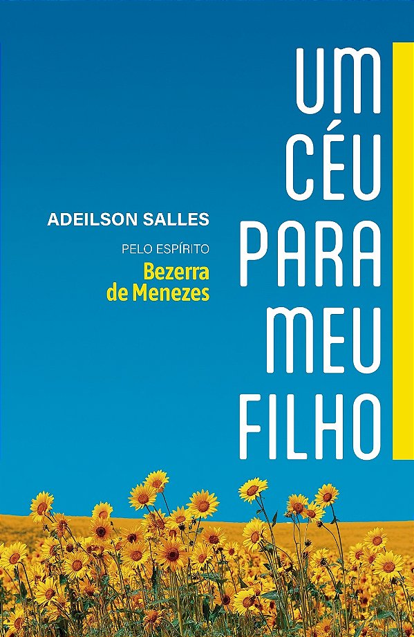 Livro Um Céu Para Meu Filho