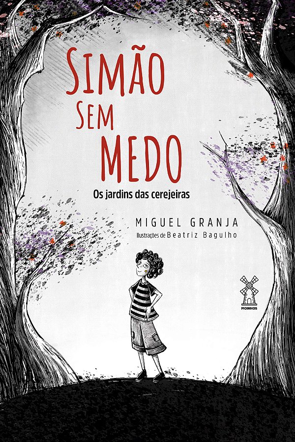 Livro Simão sem medo