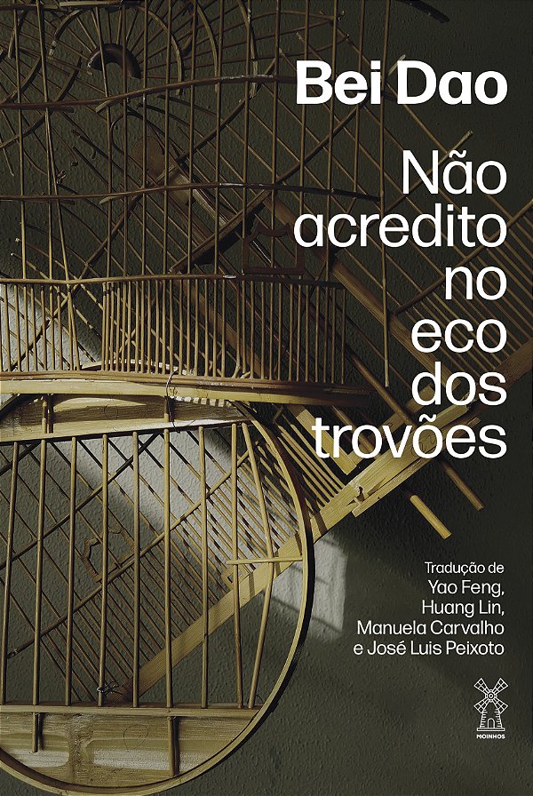 Livro Não acredito no eco dos trovões