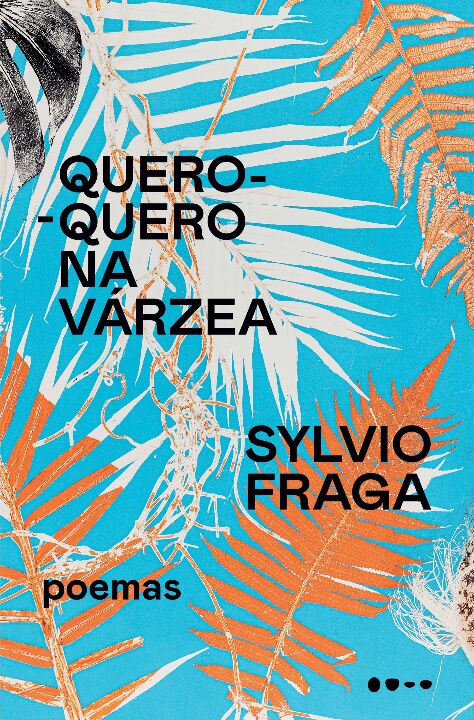 Livro Quero-quero na várzea