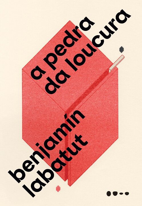 Livro A pedra da loucura