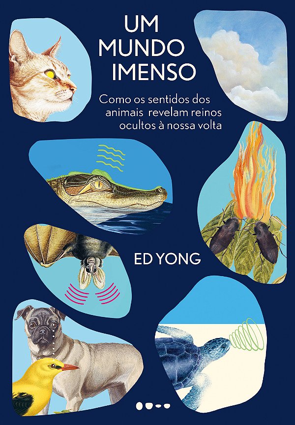 Livro Um mundo imenso: Como os sentidos dos animais revel...