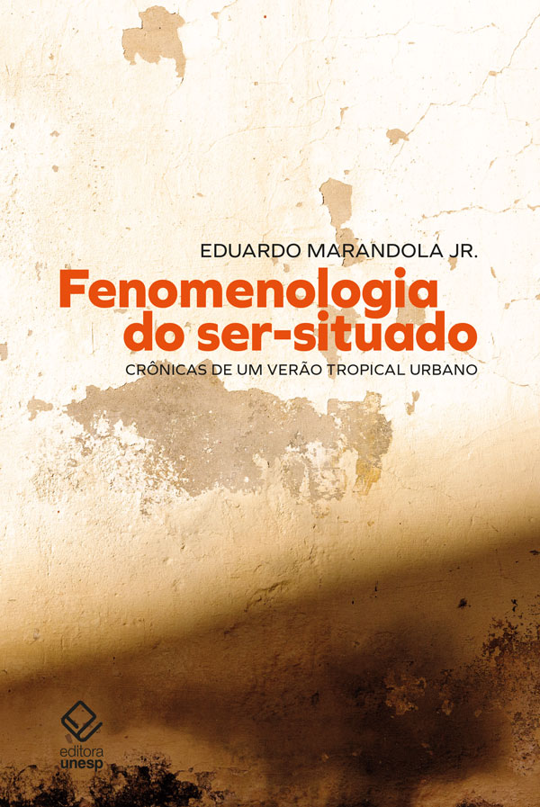 Livro Fenomenologia do ser-situado: Crônicas de um verão ...