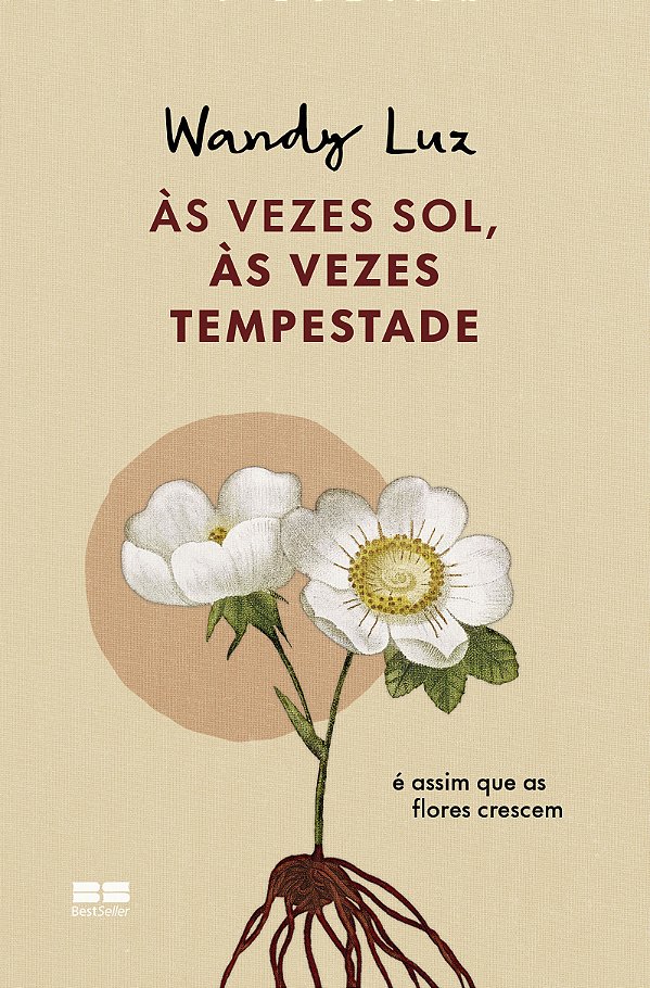 Livro Às Vezes Sol, Às Vezes Tempestade - É Assim Que As ...