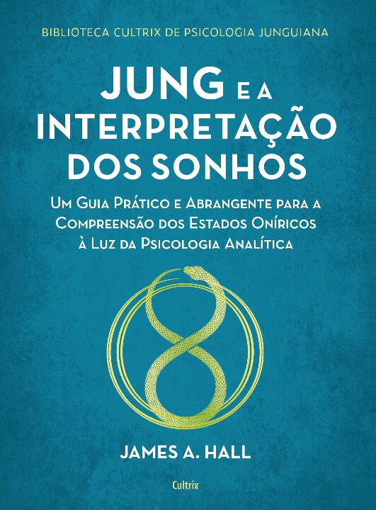 Livro Jung e a interpretação dos sonhos: um guia prático ...