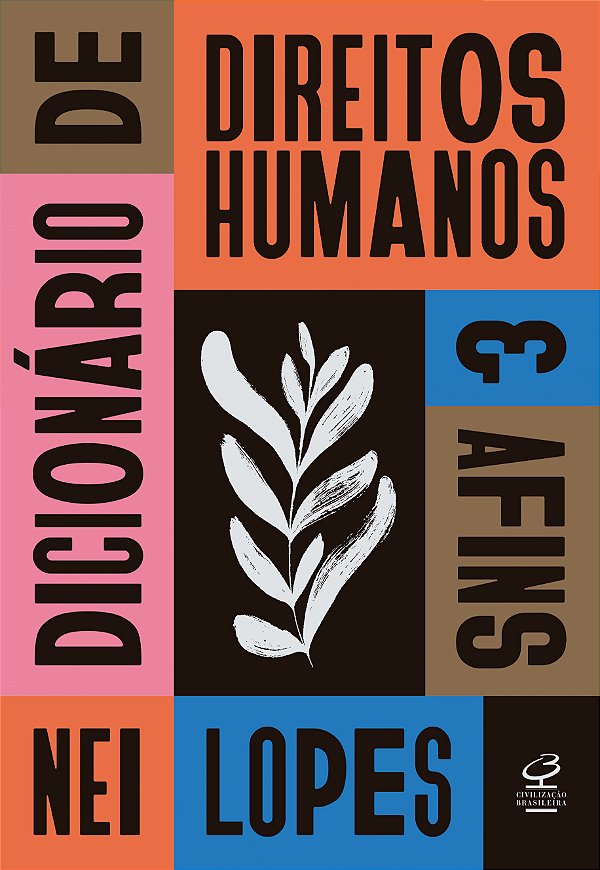 Livro Dicionário de direitos humanos e afins