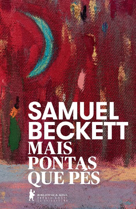 Livro Mais pontas que pés