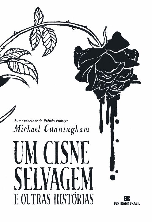 Livro Um cisne selvagem e outras histórias