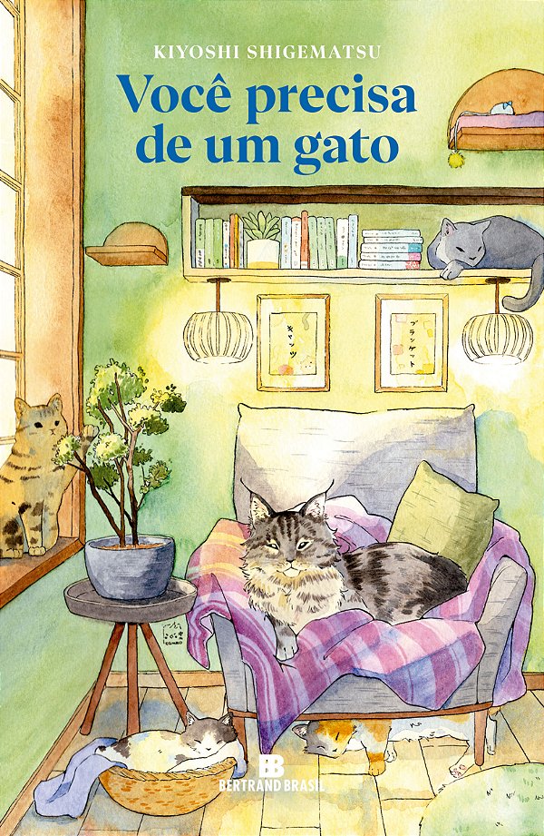 Livro Você precisa de um gato