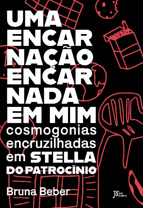 Livro Uma encarnação encarnada em mim