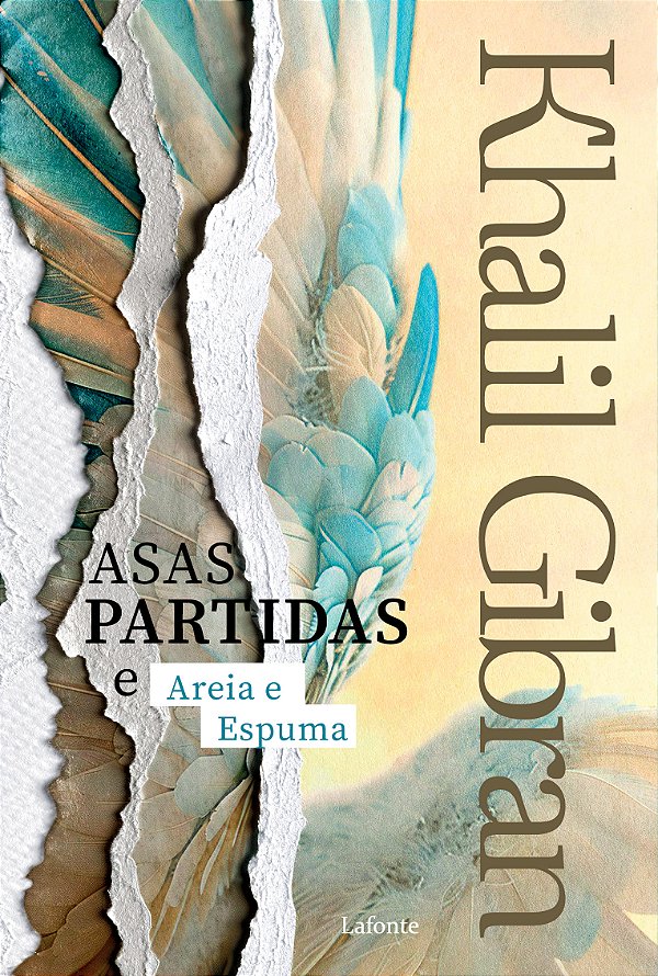 Livro Asas Partidas E Areia E Espuma