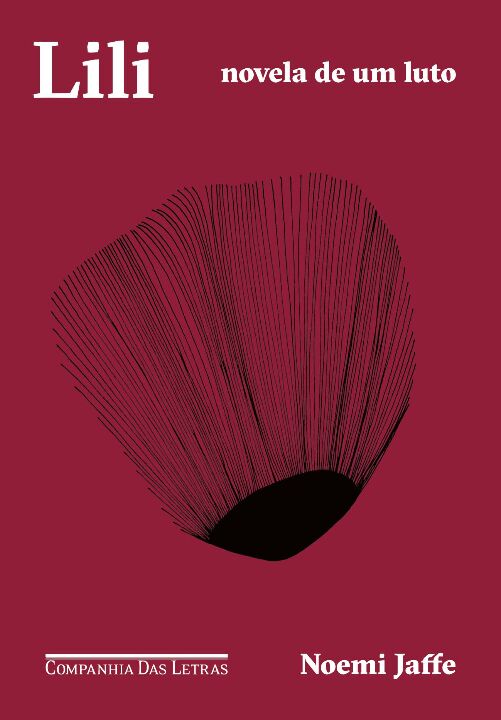 Livro Lili: Novela de um luto