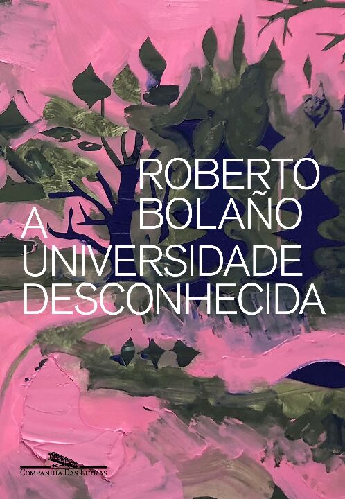 Livro A Universidade Desconhecida: Poesia