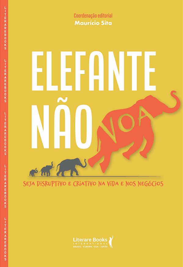 Livro Elefante não voa: seja disruptivo e criativo na vid...