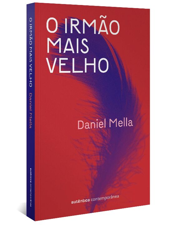 Livro O irmão mais velho