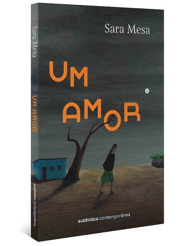 Livro Um amor