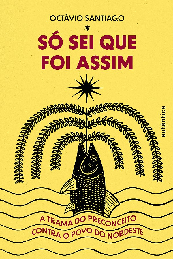Livro Só sei que foi assim: A trama do preconceito contra...
