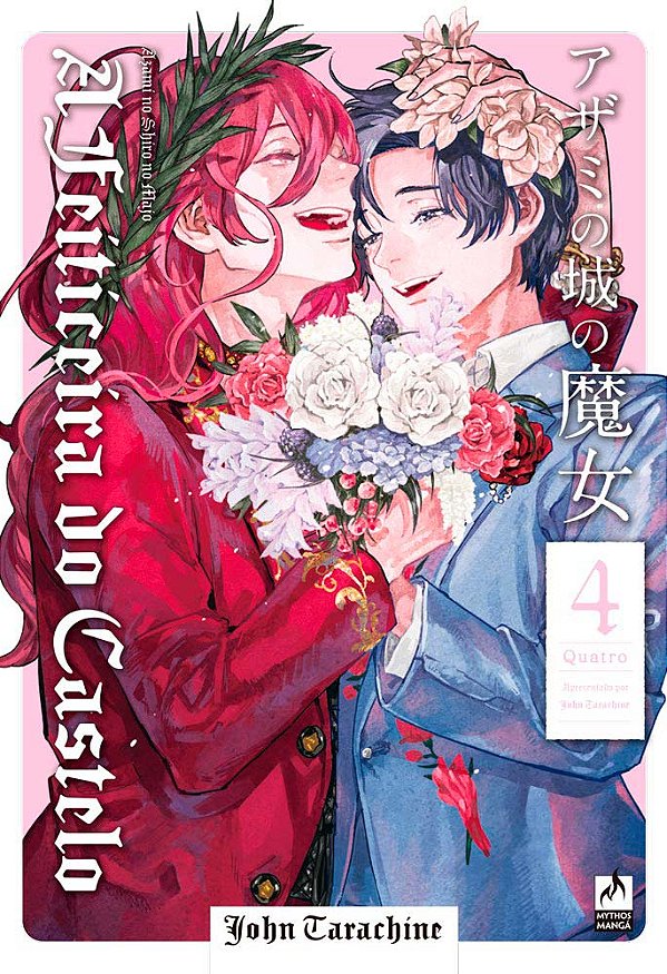 Livro A feiticeira do castelo 4 (Volume 4)