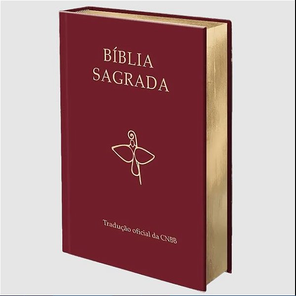 Livro Bíblia Sagrada - Tradução Oficial Da Cnbb - 6ª Ediç...