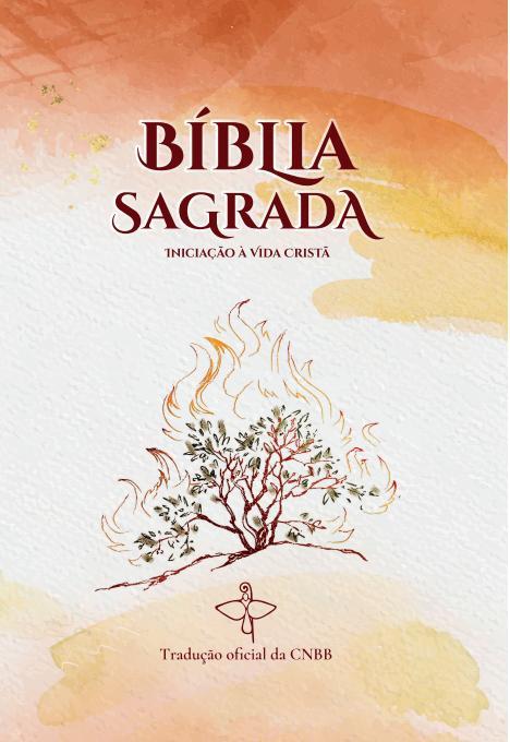 Livro Biblia Sagrada - Iniciação a vida cristã: novo design