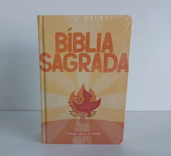 Livro Biblia Sagrada - Capa Laranja - Jovem