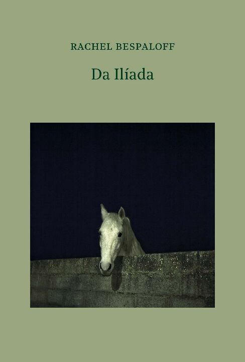 Livro Da Ilíada
