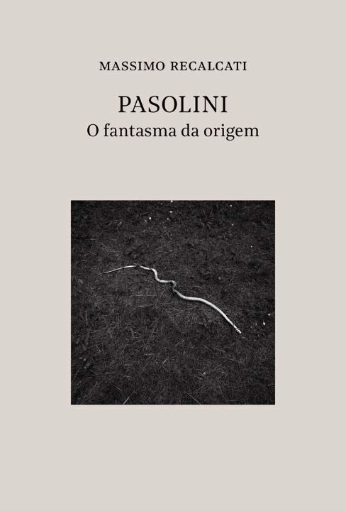 Livro Pasolini: o fantasma da origem