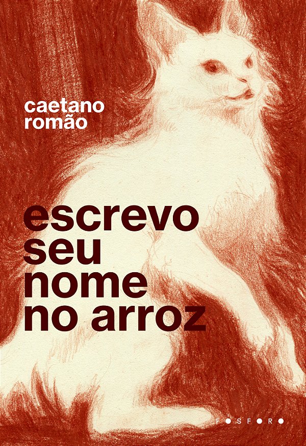 Livro Escrevo seu nome no arroz