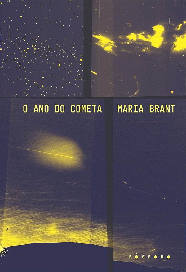 Livro O ano do cometa