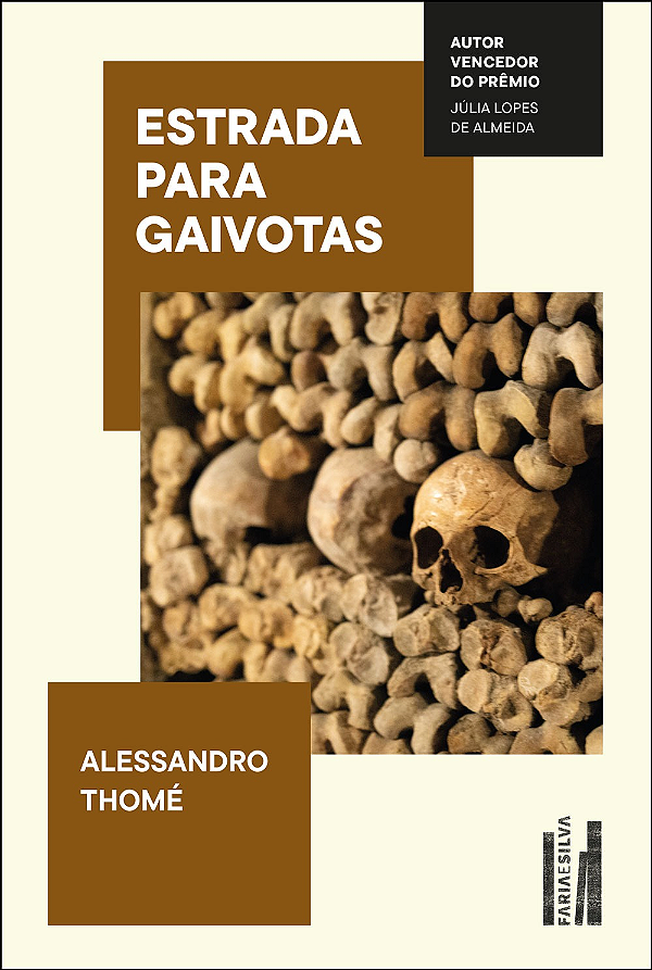 Livro Estrada para gaivotas