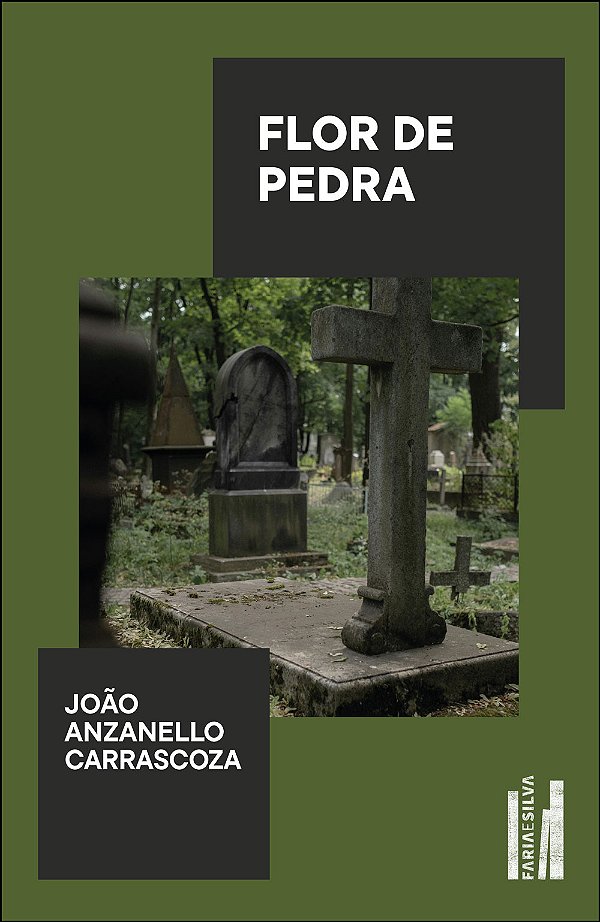 Livro Flor de pedra