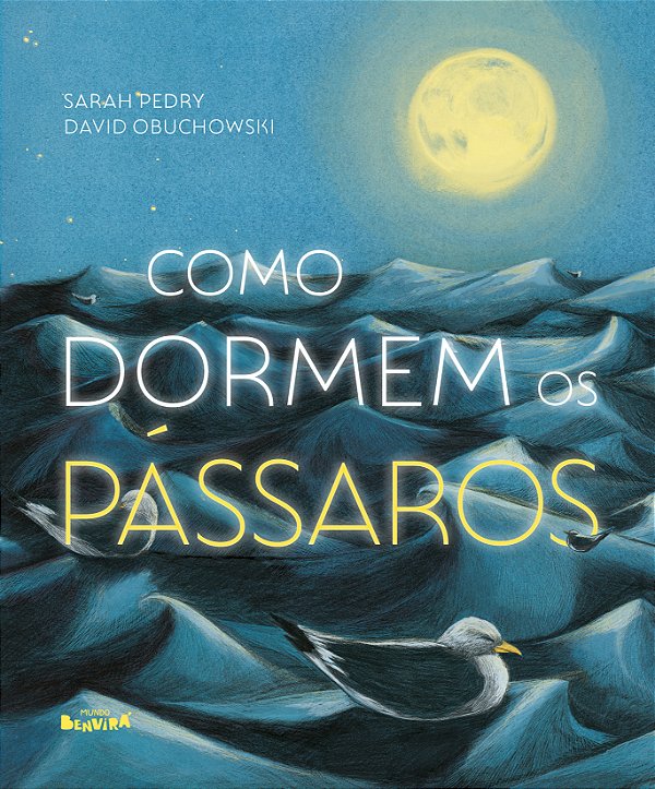 Livro Como dormem os pássaros