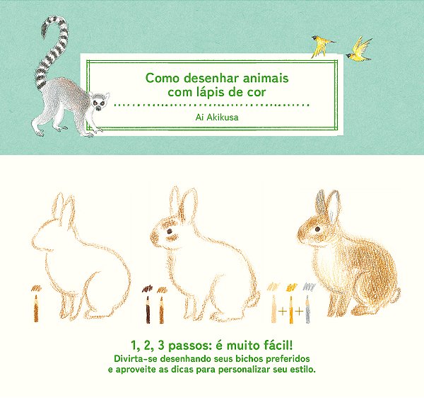 Livro Como Desenhar Animais Com Lápis De Cor