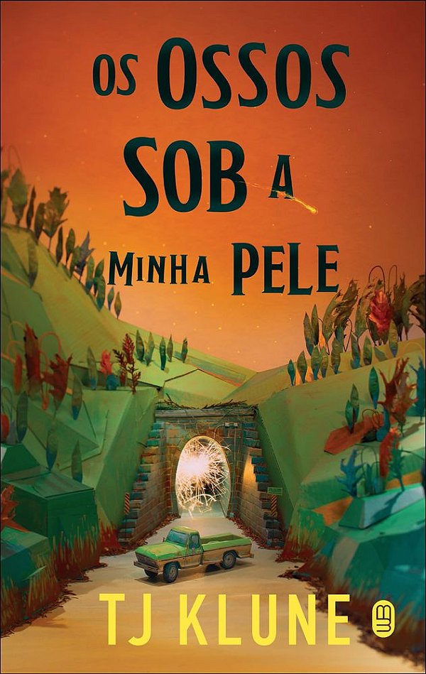 Livro Os ossos sob a minha pele